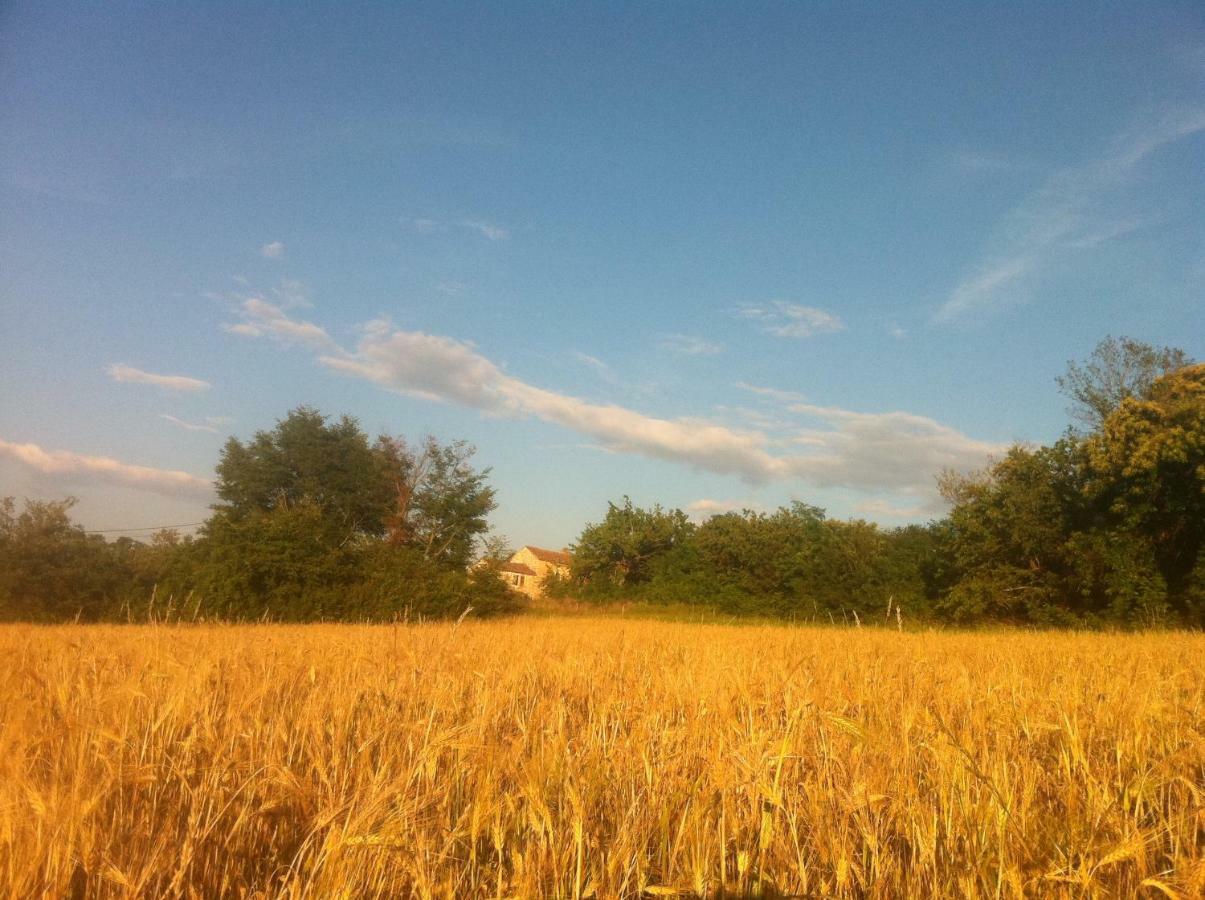 Tenuta Paljari Vizinada ภายนอก รูปภาพ